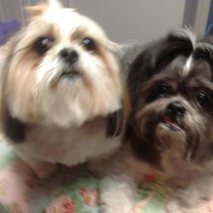 Meet your Posher, Sharon